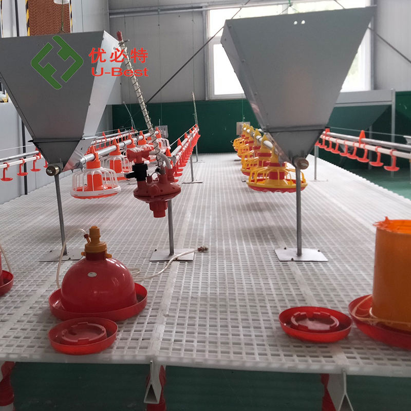 Distributeur automatique pour volaille en plastique pur - Abreuvoir et mangeoire
