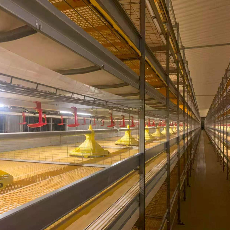Cage à poulets automatique multicouche H-Type avec collecte d'œufs et ventilation optimisée