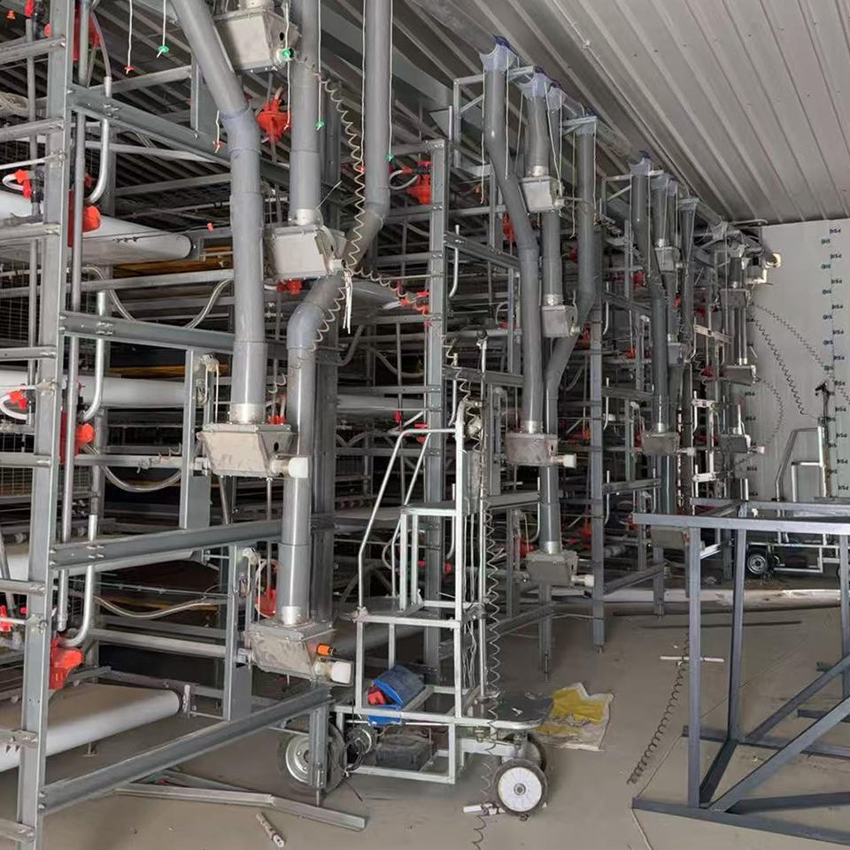 Cage à poulets automatique multicouche H-Type avec collecte d'œufs et ventilation optimisée