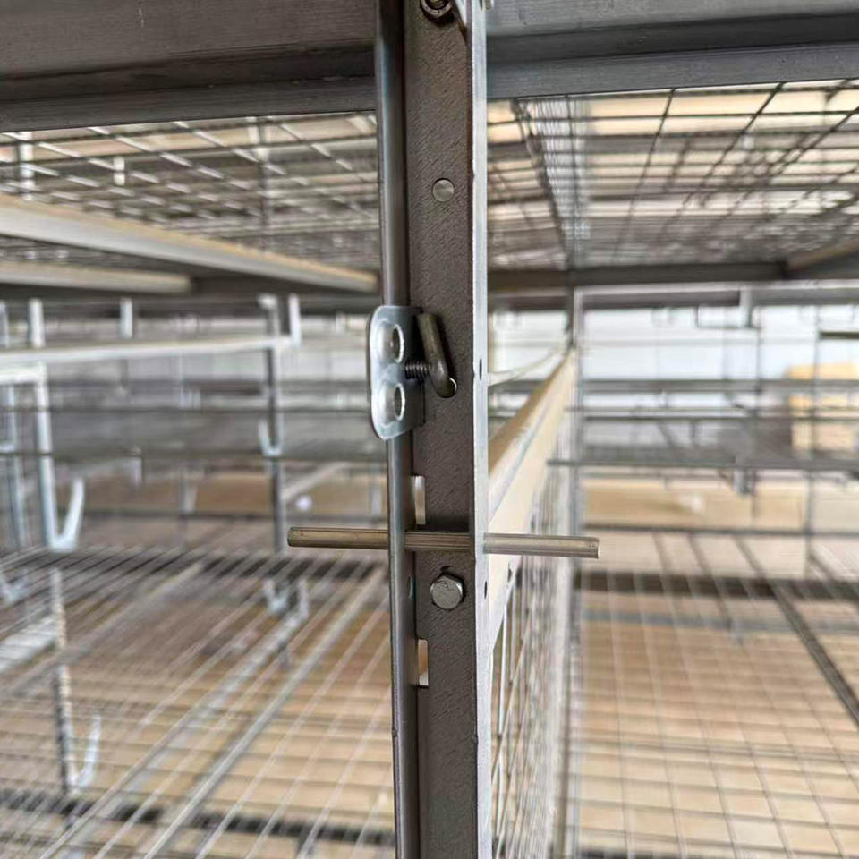 Cages à poulets de chair H-Type avec système d'alimentation automatique