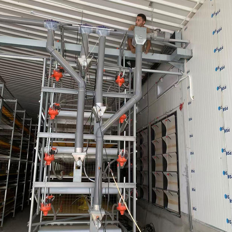 Cages à poulets de chair H-Type avec système d'alimentation automatique