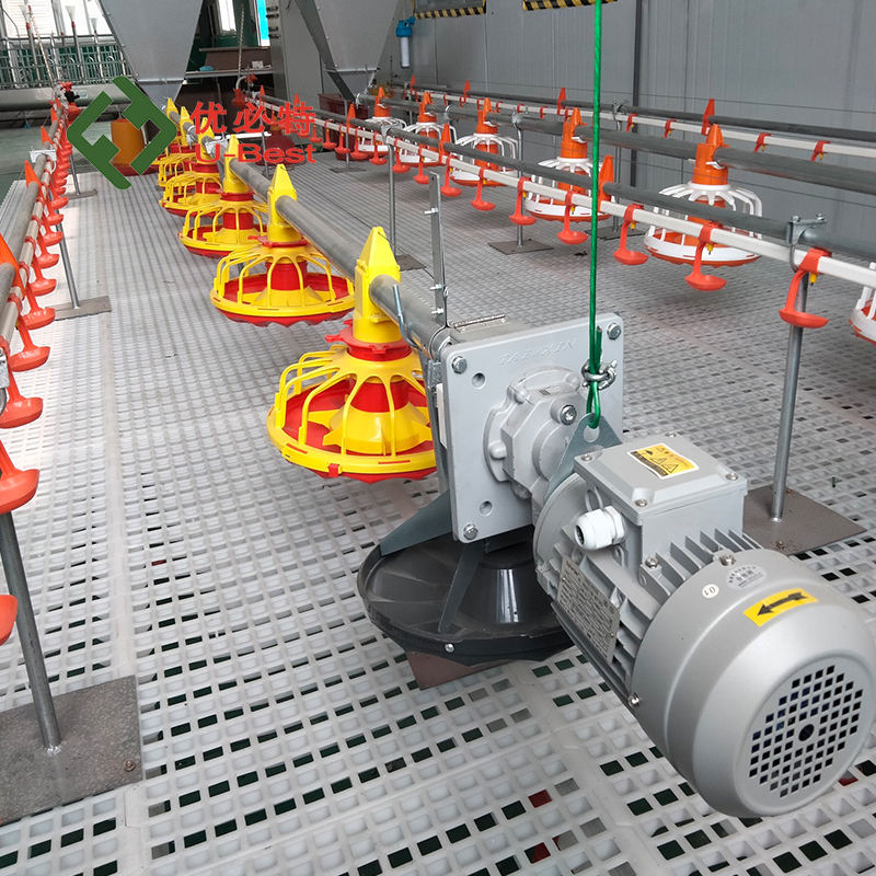 Distributeur automatique pour volaille en plastique pur - Abreuvoir et mangeoire