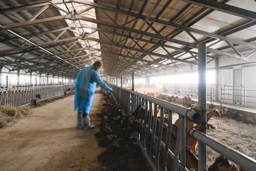 FAQ Alimentation Animale : Conseils pour Entreprises