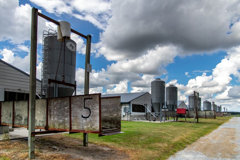 Top 5 des logiciels de gestion pour alimentation animale en 2025