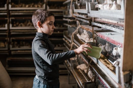 Services Entreprises Alimentation Animale : Que Proposer