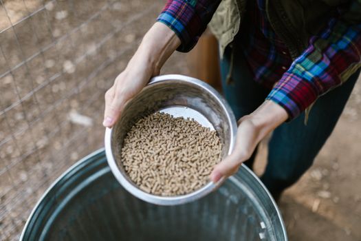 Financement Innovation Alimentation Animale : Options