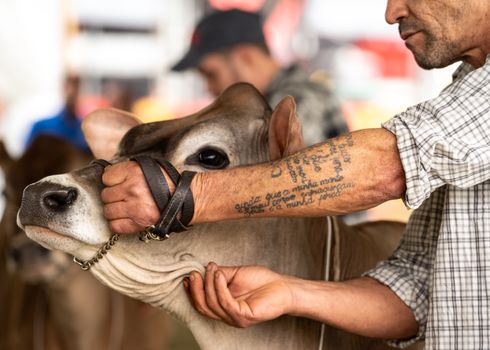 Salon Nutrition Animale 2025 : Dates et Acteurs Clés