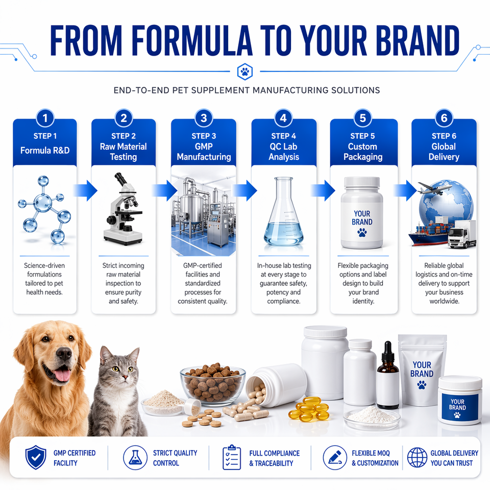 Omega-3 Líquido para Perros con EPA/DHA Alto - Salud de Piel, Articulaciones, Corazón y Cerebro - OEM/ODM