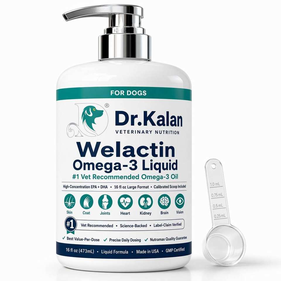 Omega-3 Líquido para Perros con EPA/DHA Alto - Salud de Piel, Articulaciones, Corazón y Cerebro - OEM/ODM