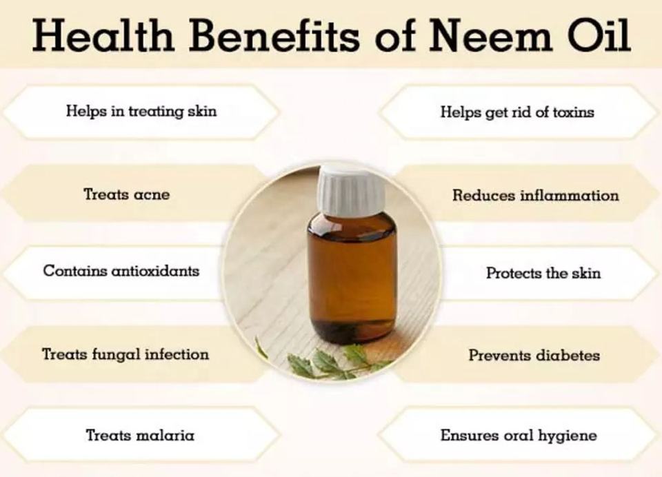 Aceite de Neem Puro 100% Natural para Agricultura Ecológica y Control de Plagas