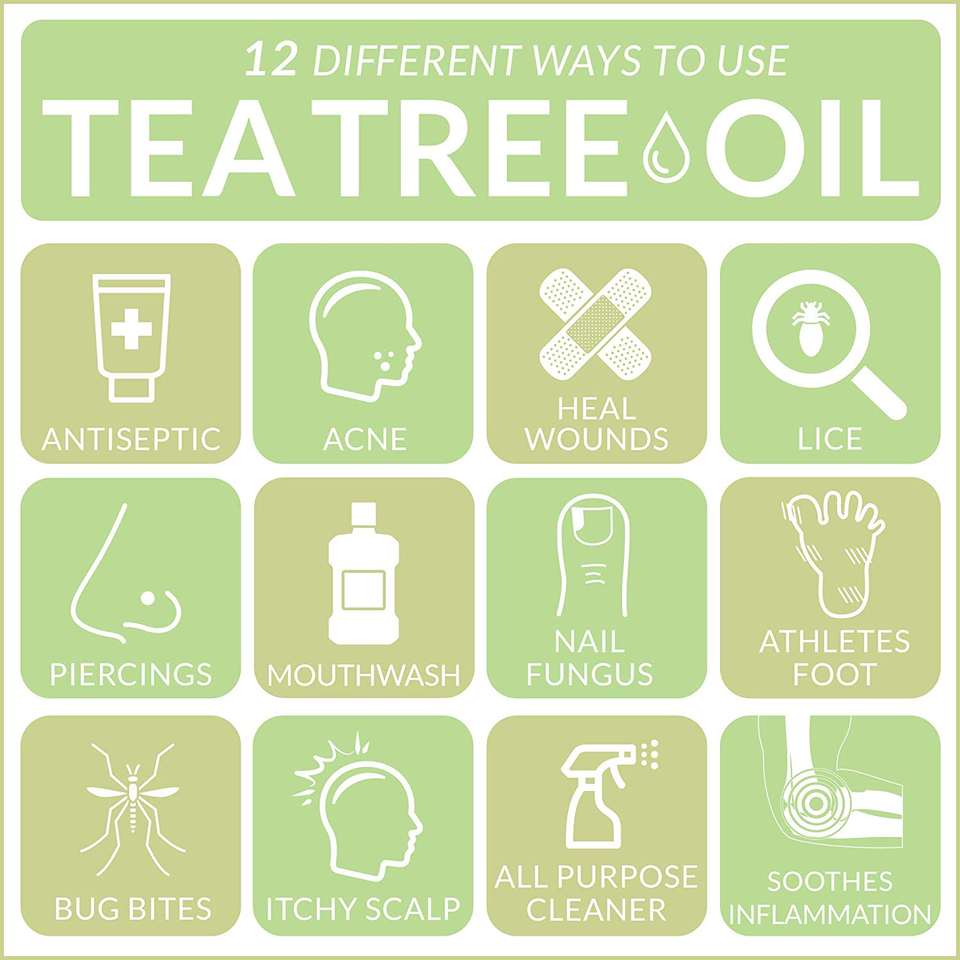 Aceite Esencial de Árbol de Té Puro Orgánico al por Mayor para Difusor, Cuidado de Piel y Cabello