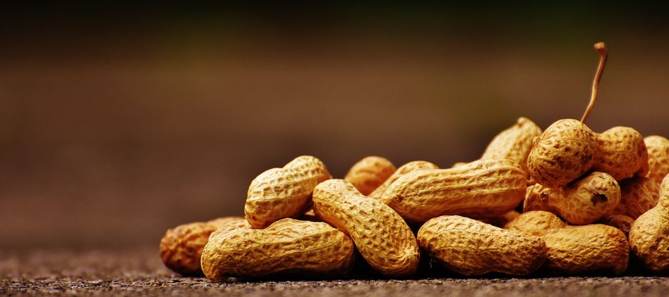 Introducción al Aceite de Cacahuete