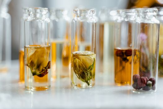 Novedades en Aceites Vegetales de Nuestra Empresa