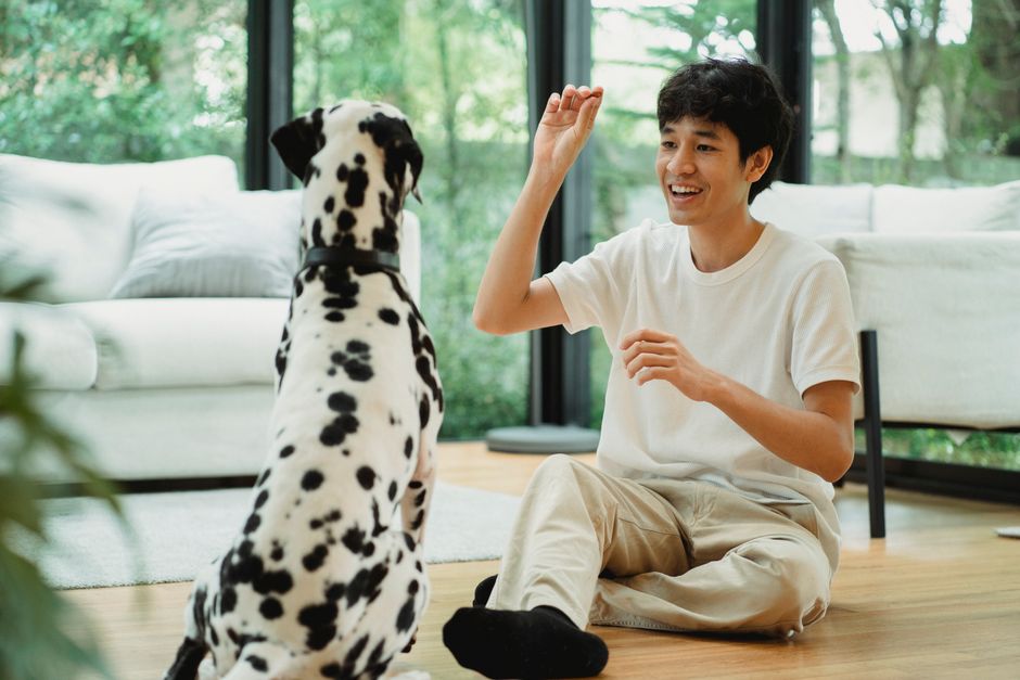 3. ของเล่นสำหรับสุนัข