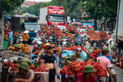 Các Loại Khổ Vải Dệt May Thông Dụng Nhất Trên Thị Trường