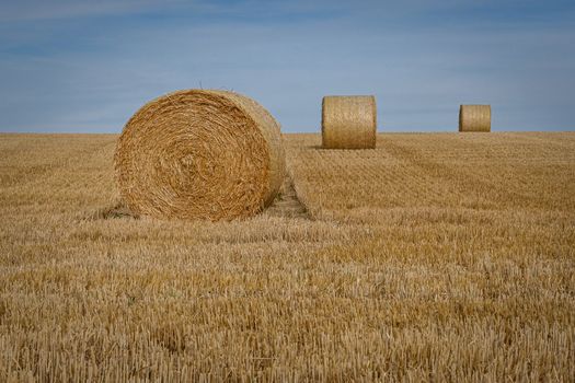 Mga Damit na Pang-Harvest na Uso sa Pilipinas