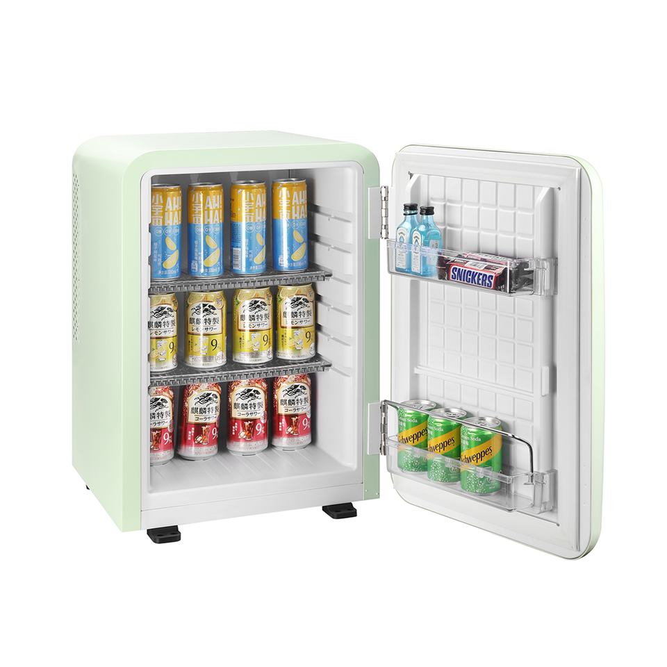 Mini Refrigerator 40L Thermoelectric Compact Fridge para sa Bahay at Negosyo