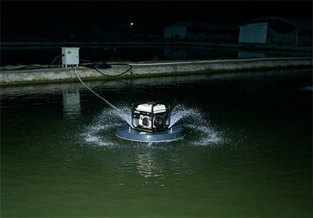 Jiangsu Yancheng freshwater fish pond impeller aerator insta