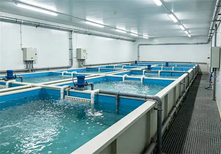 Fujian Zhangzhou Abalone Aquaculture Pond Submersible Oxygen