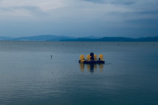 Microporous aerator vs Roots blower: Which one is better for you?