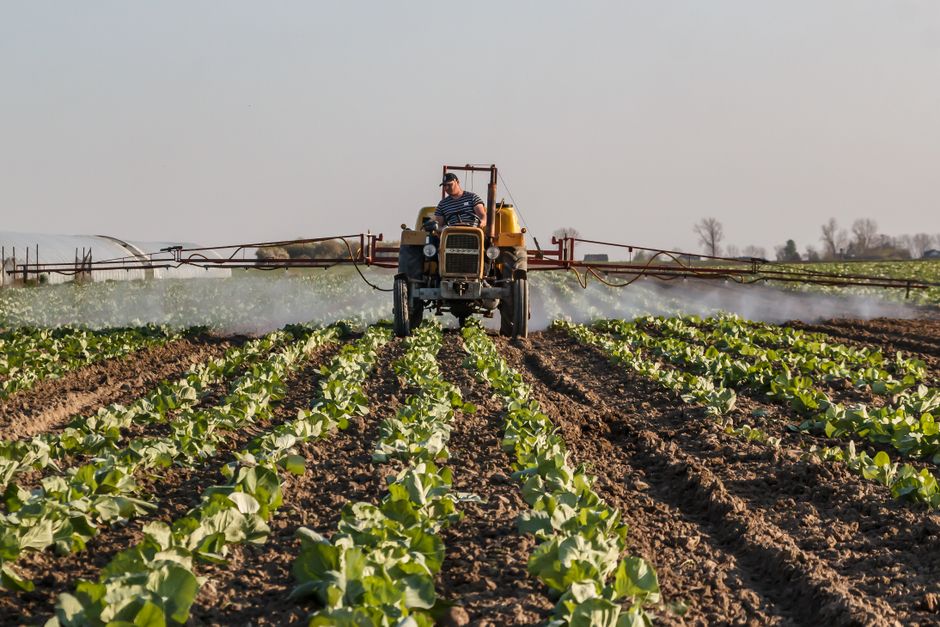Best Practices for Raw Material Sourcing