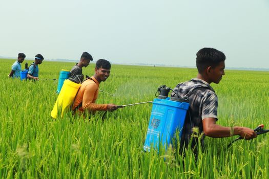 Agricultural Sprayer Regulations in International Trade: FAQ