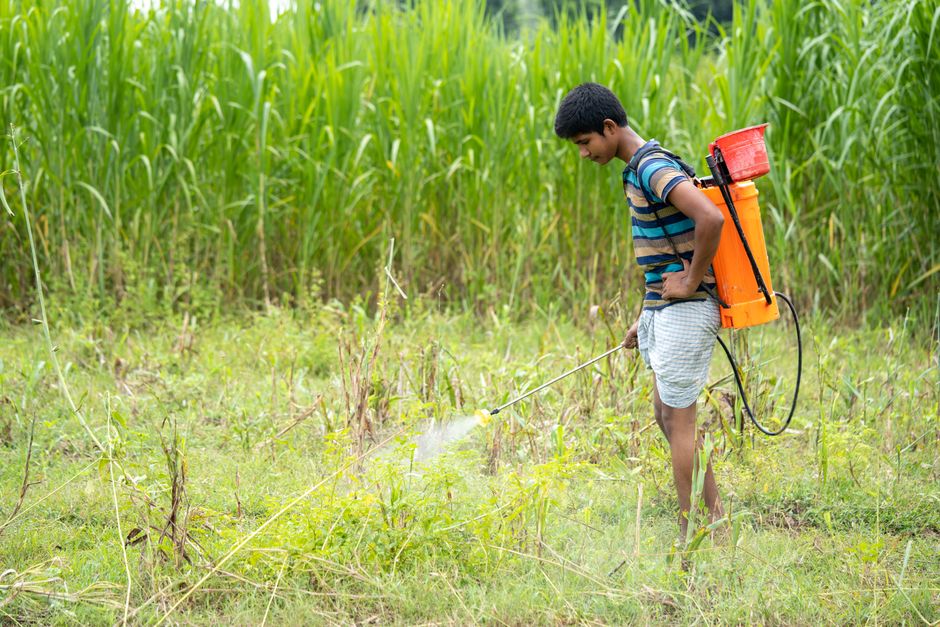 1. Understand the Price Range for Entry-Level Sprayers
