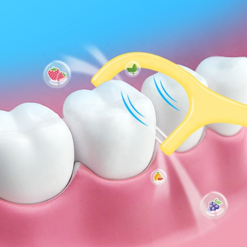Bulk Twin Line Dental Flossers – Custom Mint Fruit Flavor, Private Label Toothpicks