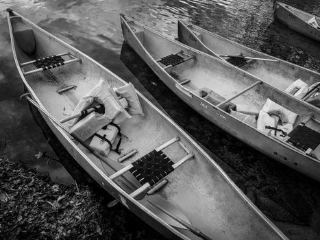 Life Jacket for Canoeing: Rules & Tips FAQ