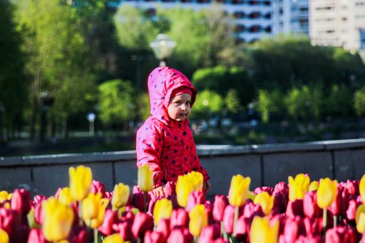 Best Life Jackets for Toddlers: Safe & Comfortable Picks