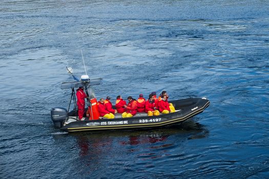 How to Choose a Life Jacket for Adults: Complete Guide