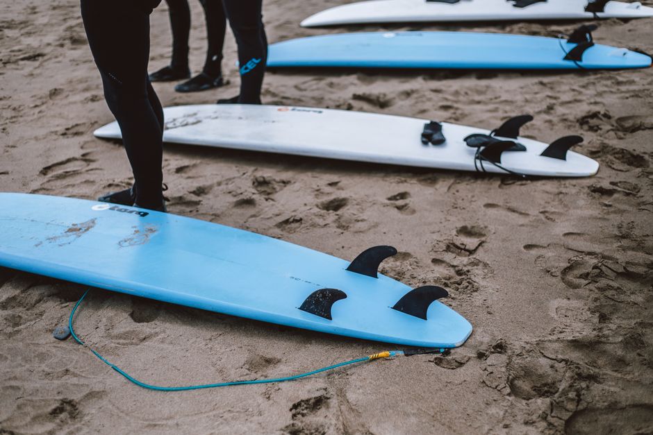What Board Type Is Best for Beginners?