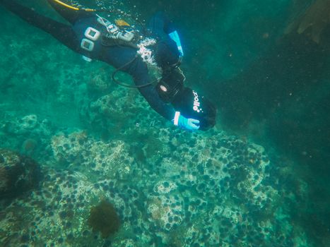 Best Diving Torches for Night Diving Reviewed