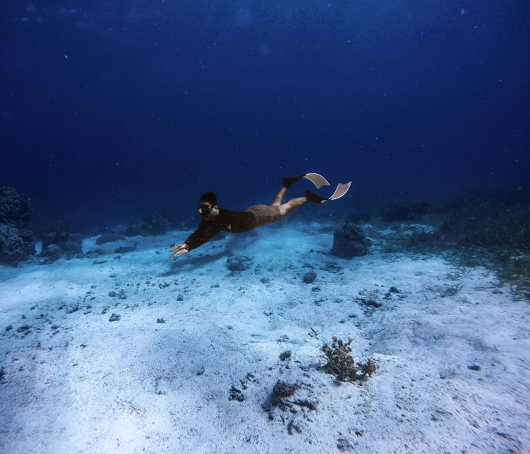 What Makes Expensive Snorkel Fins Different?