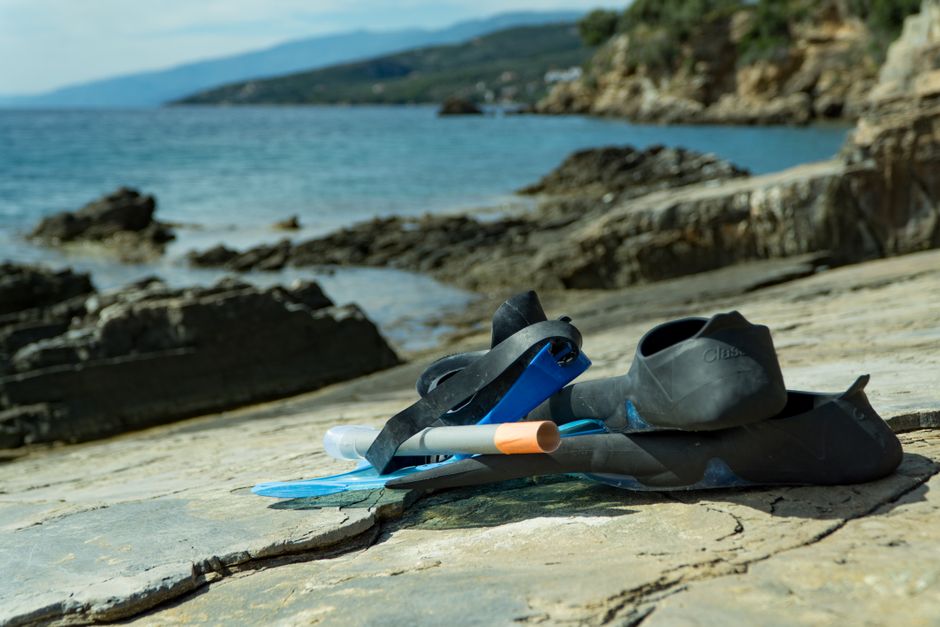 Do Expensive Fins Actually Make You Faster?