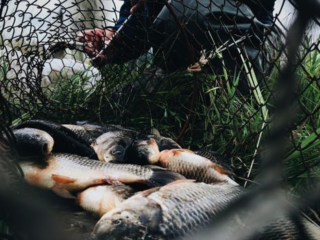 Fishing Equipment Startup News: 7 Innovators to Watch