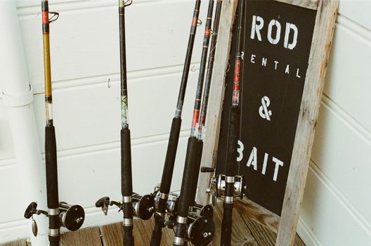 Best New Fishing Rods 2025: Company News & Comparison