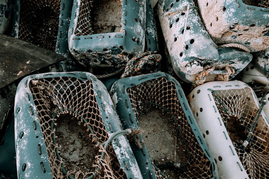 Why Sustainable Fishing Equipment Is Reshaping the Industry