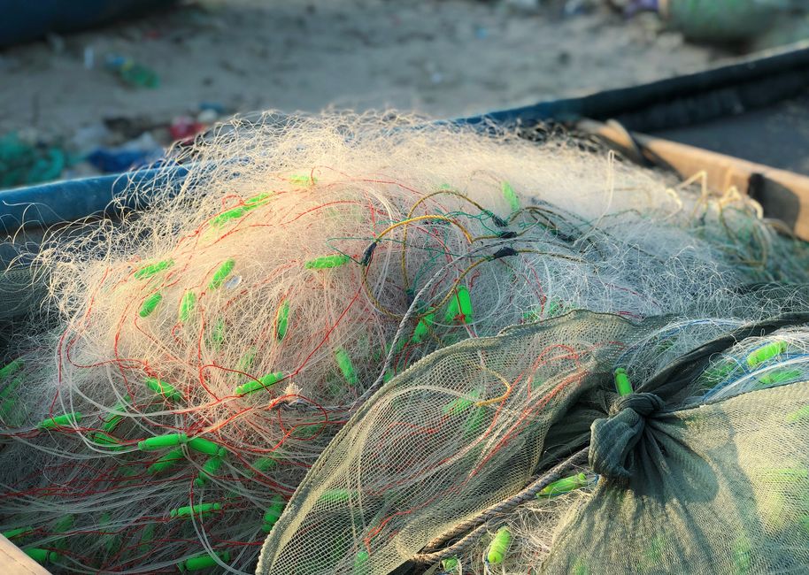 The Driving Forces Behind Sustainable Tackle