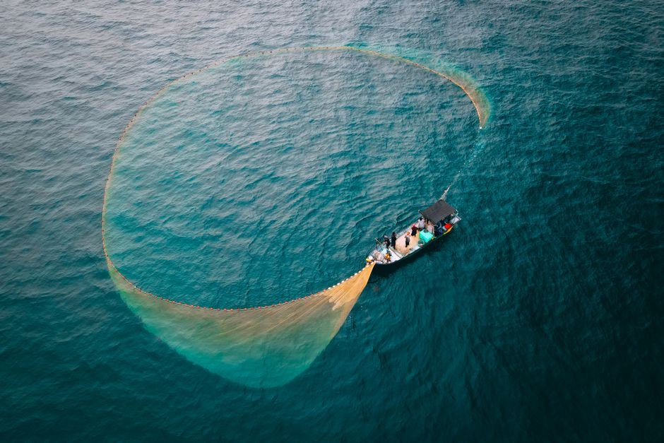 Key Trends in Sustainable Fishing Equipment