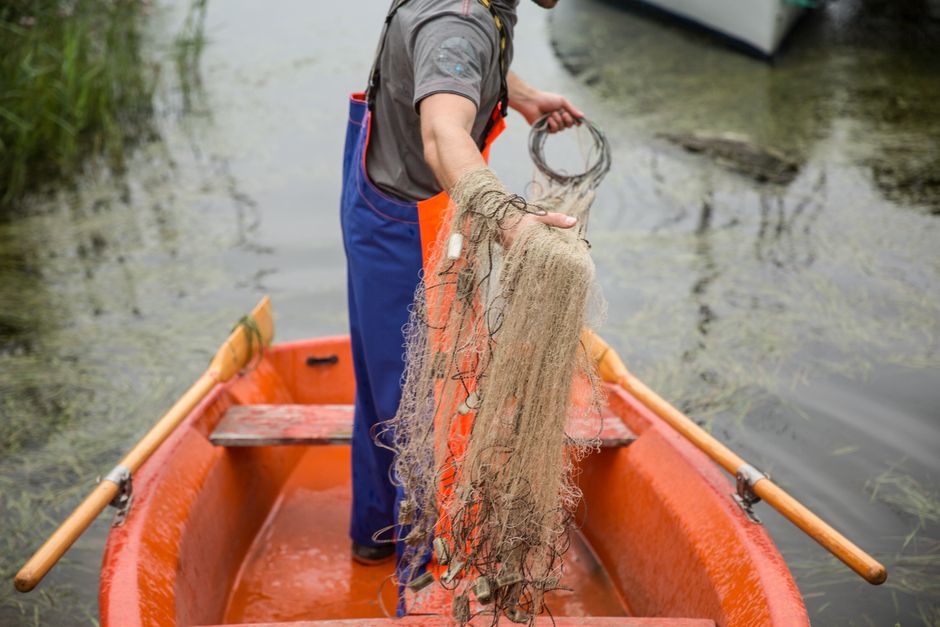 What Are Fishing Equipment Recalls and Why Do They Matter?