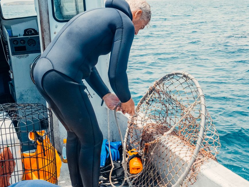 How Do I Know If My Fishing Gear Has Been Recalled?