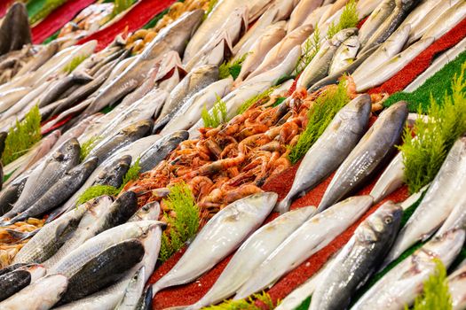 Fishing Gear Trade Show Highlights You Missed
