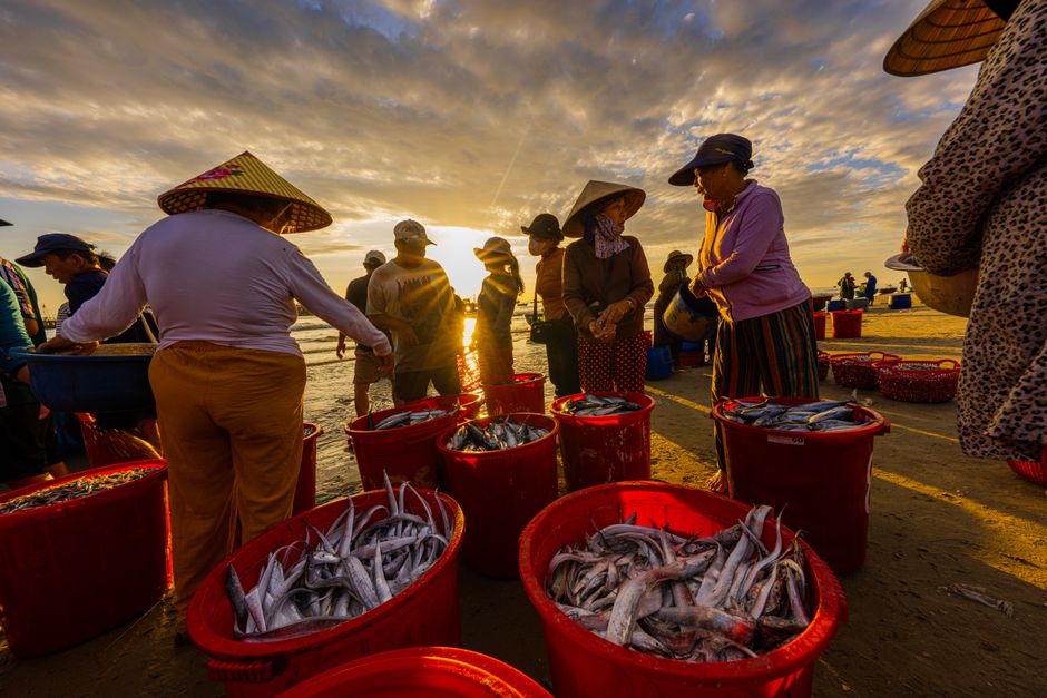 1. Smart Sonar Gets Cheaper and Sharper
