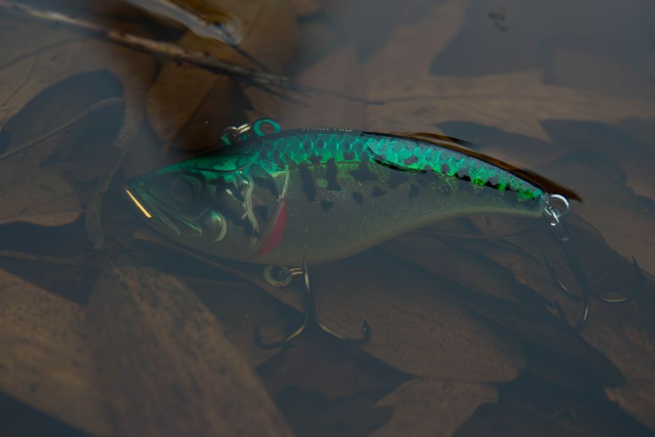 2. Daiwa Launches the Steez CT SV TW: Baitcasting Precision Redefined