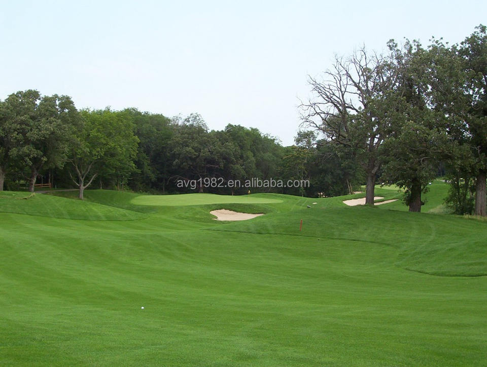 Premium Golf Turf | Synthetic Putting Green Grass | Durable & Realistic