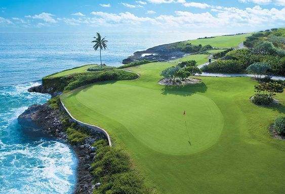 Premium Artificial Golf Turf for Indoor & Outdoor Putting Greens - Durable Synthetic Grass