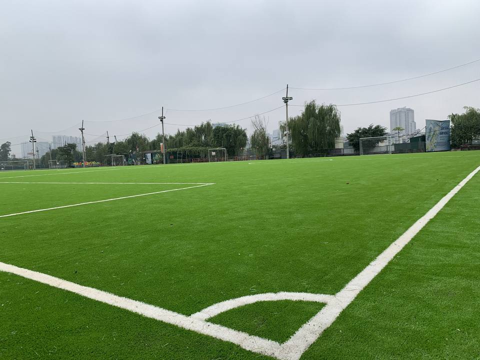 Durable Football Artificial Grass Soccer Turf for Professional Fields