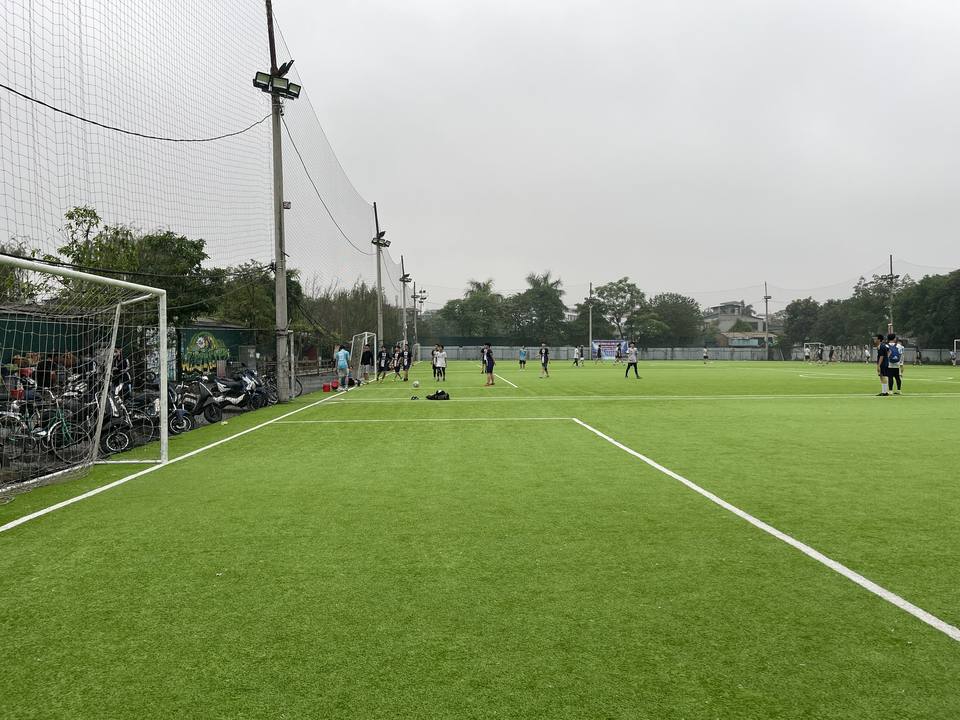 Durable Football Artificial Grass Soccer Turf for Professional Fields