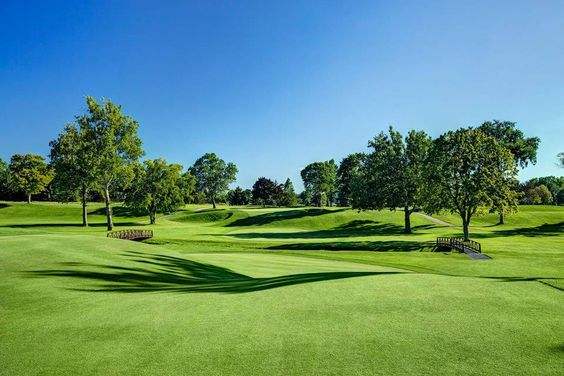 Premium AVG Golf Turf Artificial Grass Putting Green 9600 Dtex 10-15mm Bicolor